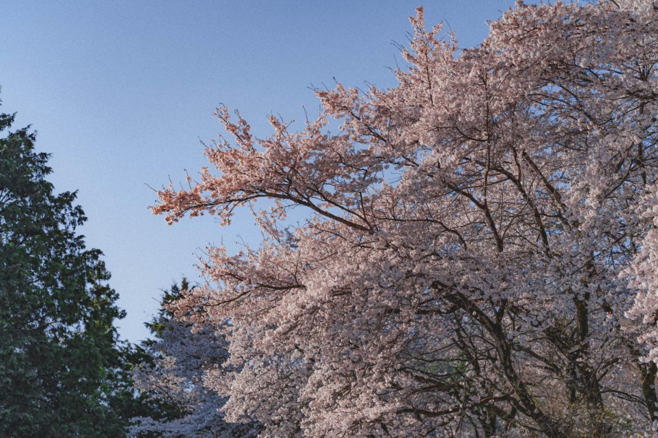 Kominkayado Loof Sakanoie Fuefuki Exteriér fotografie