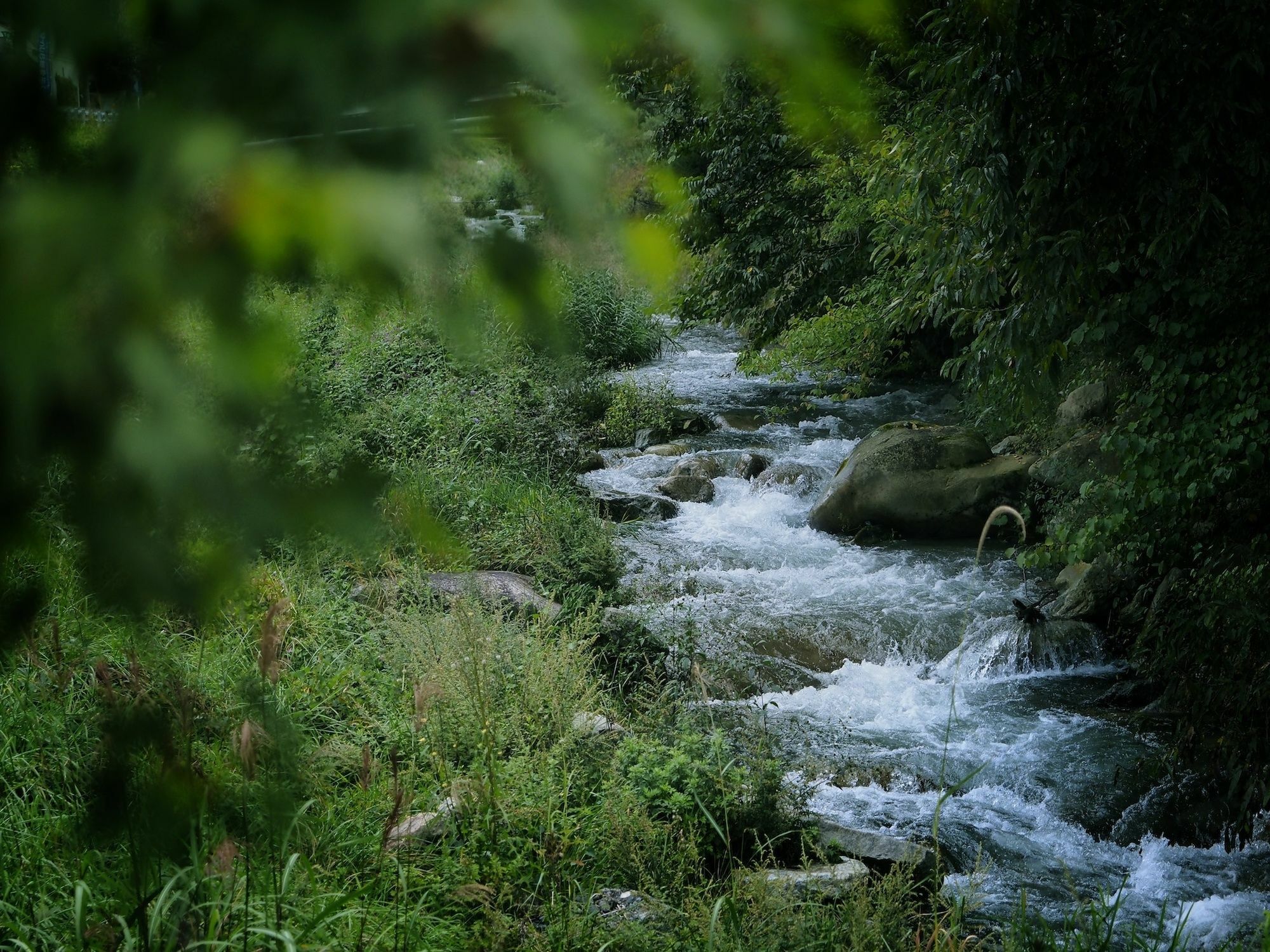 Kominkayado Loof Sakanoie Fuefuki Exteriér fotografie